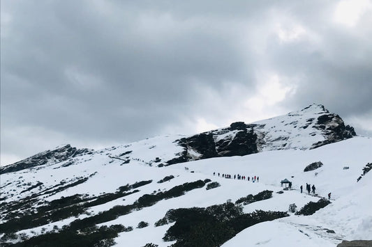 Chopta Tungnath | Chandrashila - 2N/3D