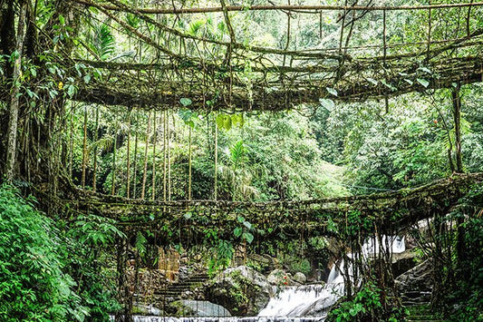 Shillong – Cherrapunji – Mawlynnong - 4N/5D
