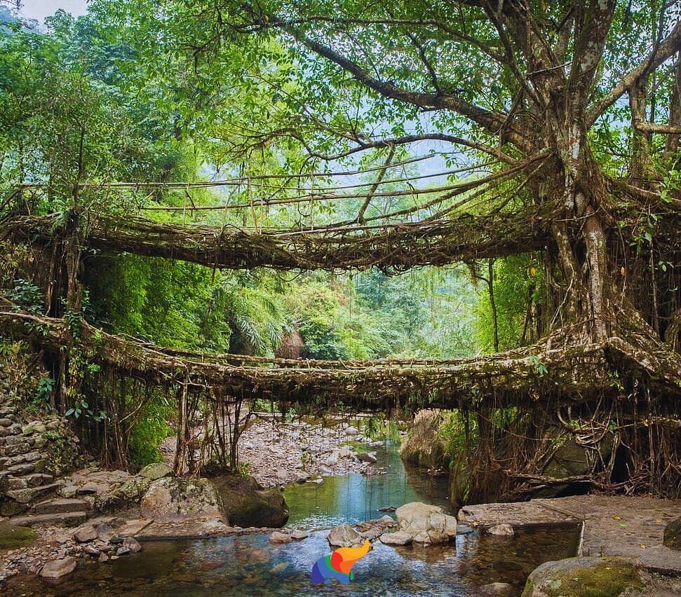 Shillong+ Cherrapunji – 3N/4D