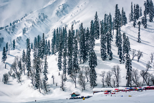 Kashmir - 4N/5D