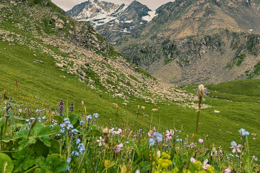 Valley of Flowers – 5N/6D