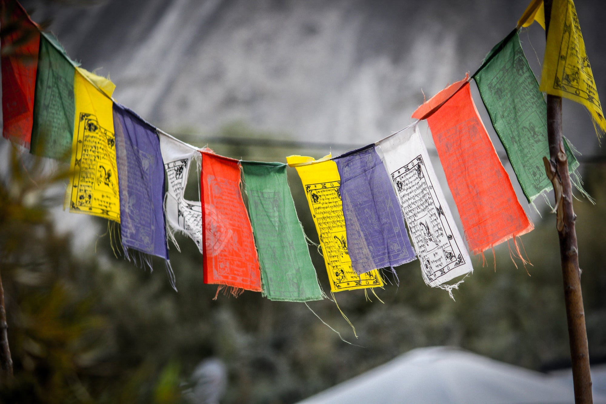 Solang | Atal | Sissu | Kasol