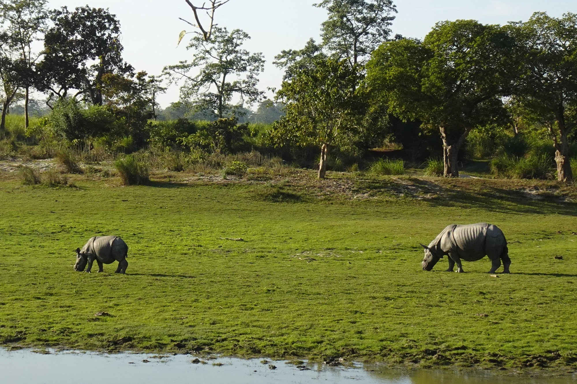 Guwahati – Kaziranga – Majuli – 5N/6D