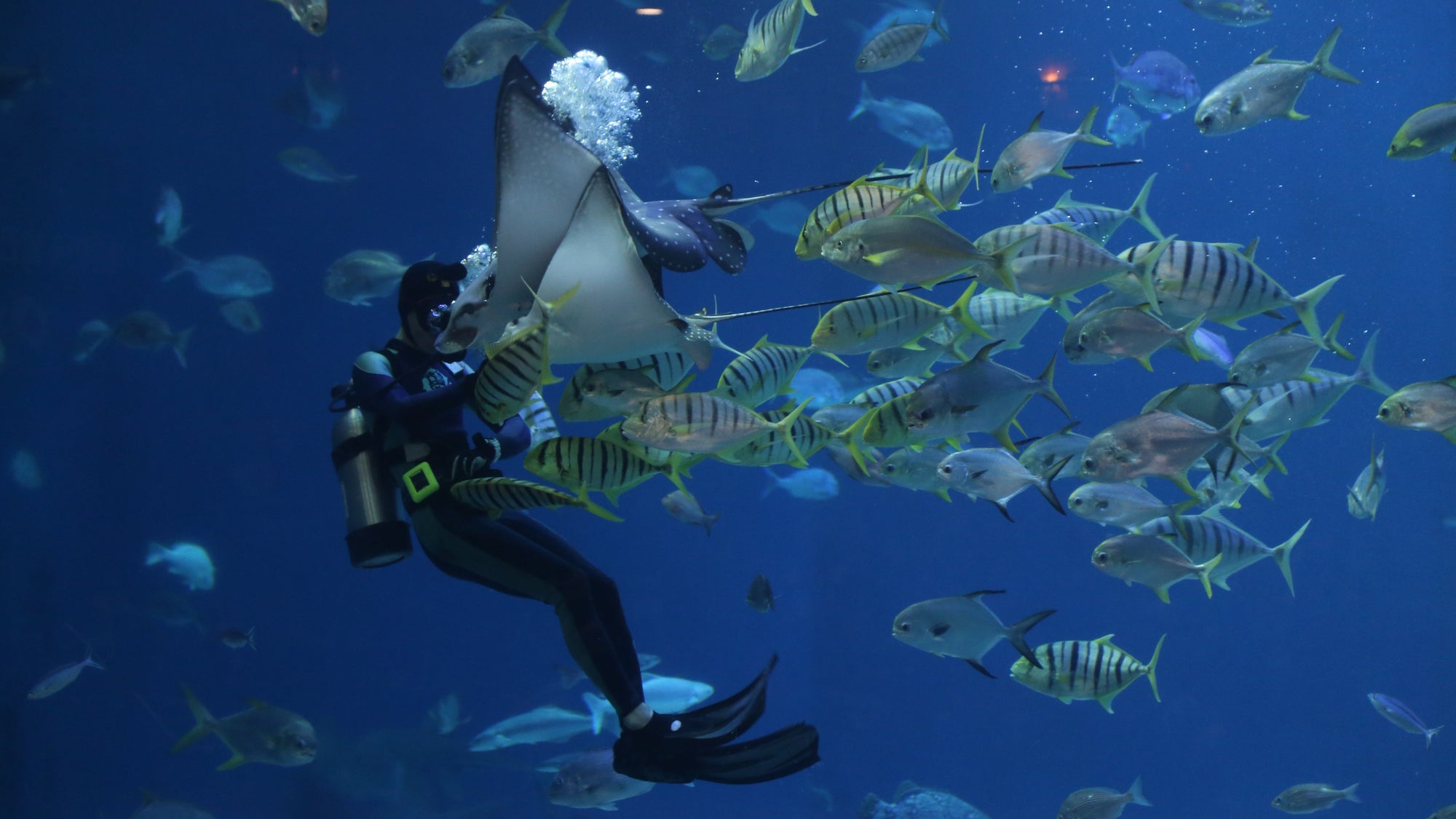 Andaman Island – 4N/5D