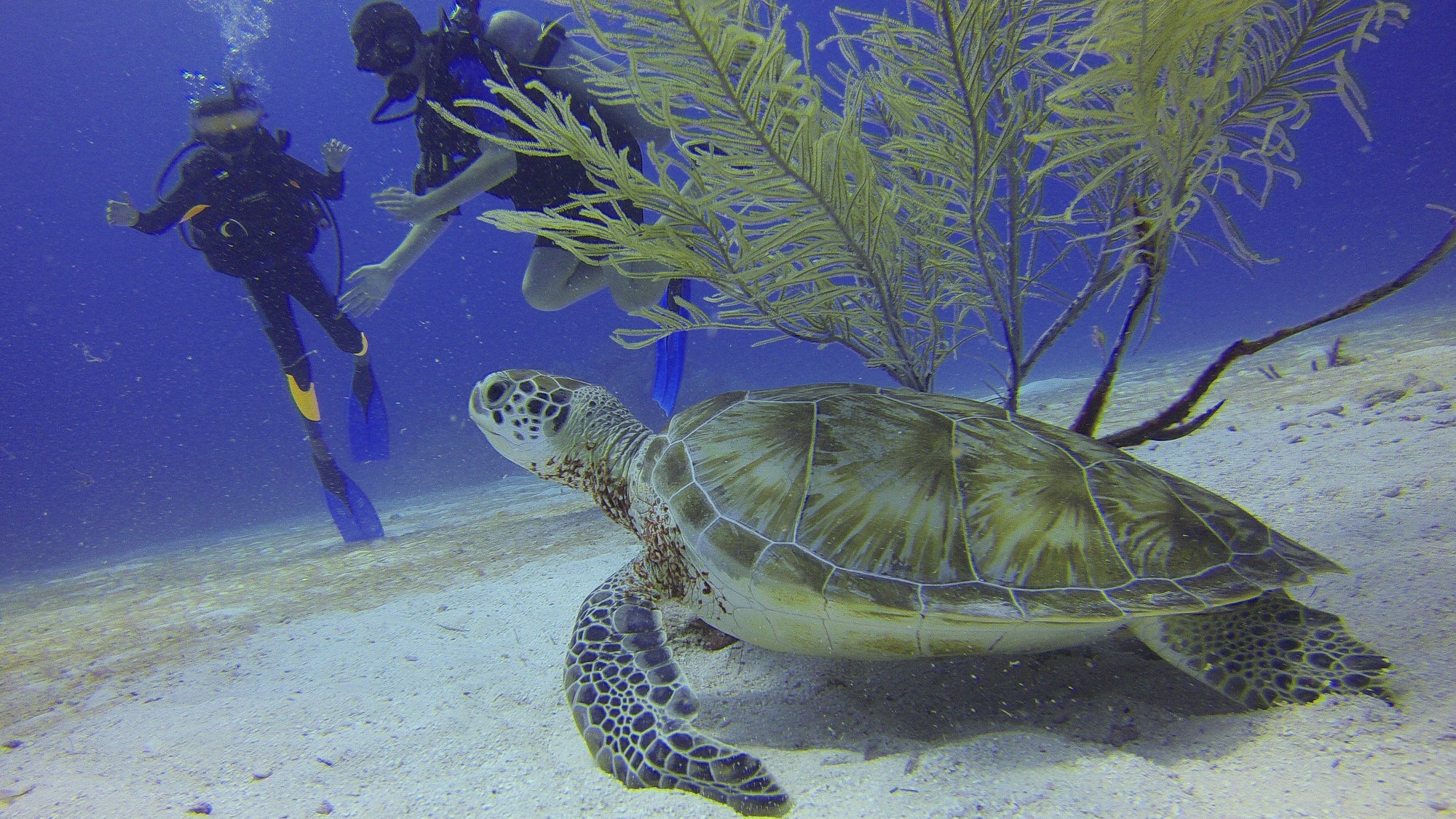 Andaman Island – 4N/5D