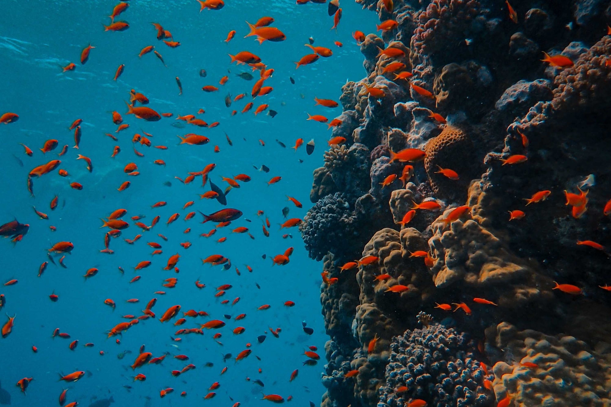 Andaman Island – 4N/5D